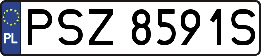 PSZ8591S