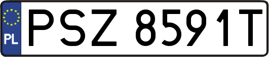 PSZ8591T