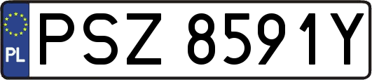 PSZ8591Y