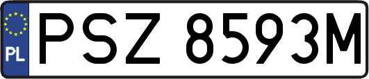 PSZ8593M