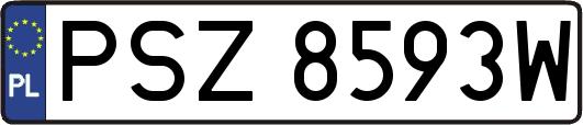 PSZ8593W