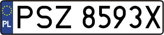 PSZ8593X