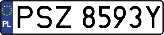 PSZ8593Y