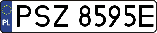 PSZ8595E