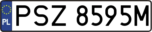 PSZ8595M