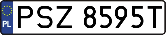 PSZ8595T