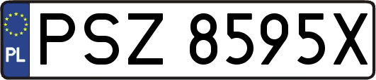 PSZ8595X