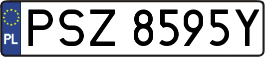 PSZ8595Y