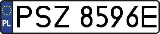 PSZ8596E