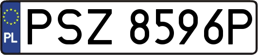 PSZ8596P