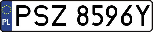 PSZ8596Y