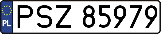 PSZ85979