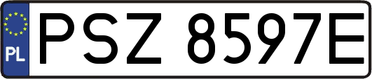 PSZ8597E