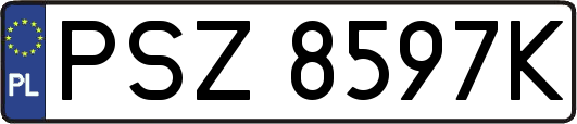 PSZ8597K