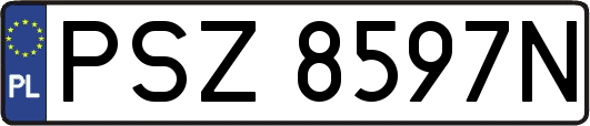 PSZ8597N