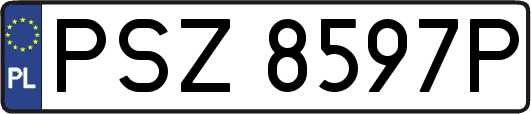 PSZ8597P