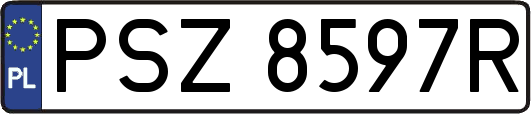 PSZ8597R