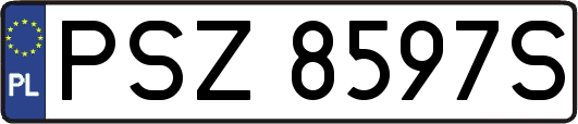 PSZ8597S