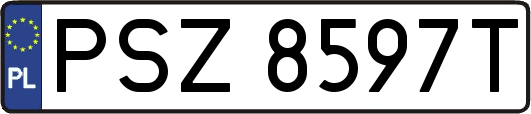 PSZ8597T