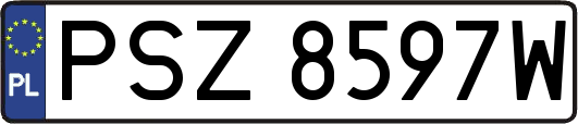 PSZ8597W