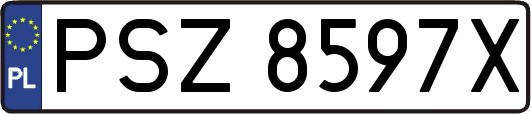 PSZ8597X