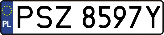 PSZ8597Y
