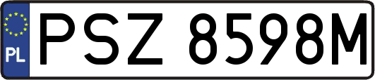 PSZ8598M