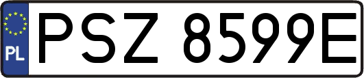 PSZ8599E