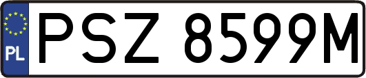PSZ8599M