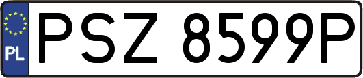 PSZ8599P