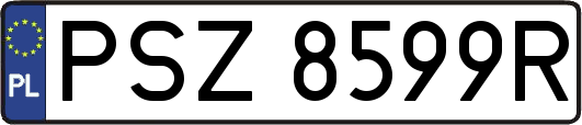 PSZ8599R