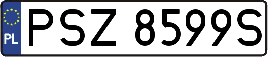 PSZ8599S