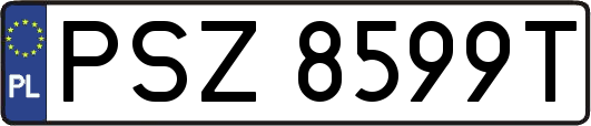 PSZ8599T