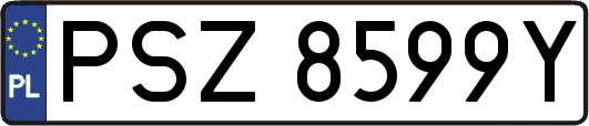 PSZ8599Y