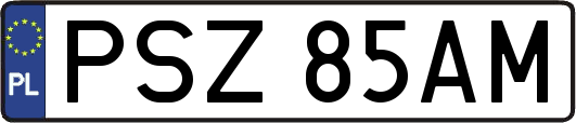 PSZ85AM