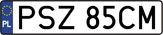PSZ85CM