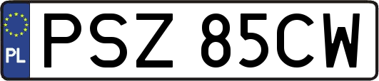 PSZ85CW