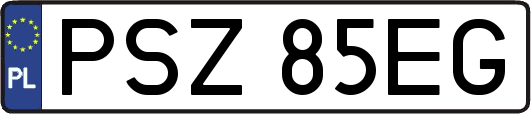 PSZ85EG