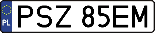 PSZ85EM