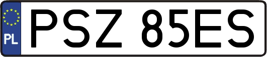 PSZ85ES