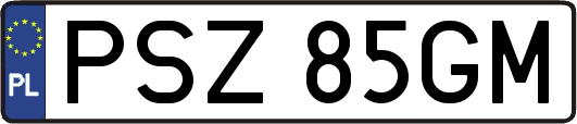 PSZ85GM