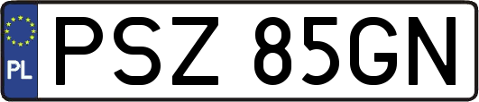 PSZ85GN
