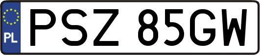 PSZ85GW
