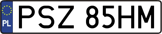 PSZ85HM