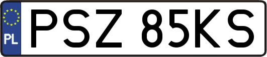 PSZ85KS