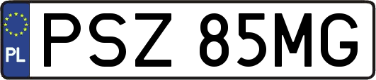 PSZ85MG