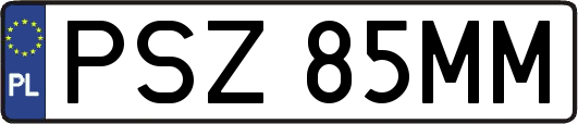 PSZ85MM