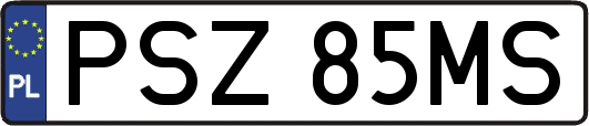 PSZ85MS