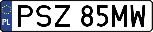 PSZ85MW