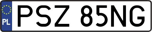 PSZ85NG